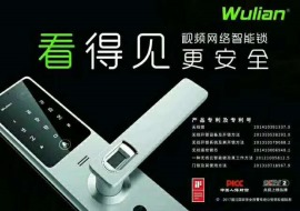 Wulian网络可视智能锁