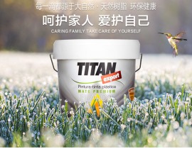 缔丹TITAN西班牙原装进口经典雾面全效漆