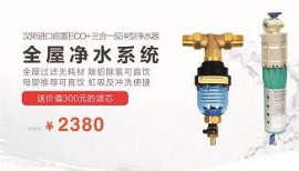 汉斯希尔净水器前置SCO+三合一反冲型